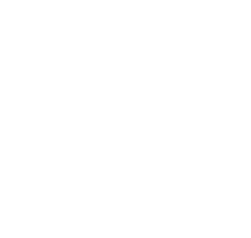 Flux Models